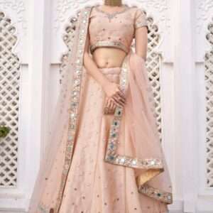 Peach Colour Lehenga