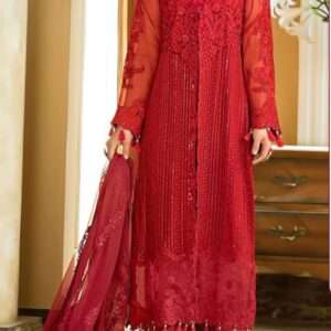 Red Net designer suit