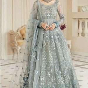 Butterfly Net Anarkali Suit