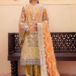 Organza Dupatta Suit with Embroidery